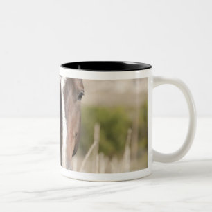 Caneca De Café Em Dois Tons Cavalos selvagens em South Dakota