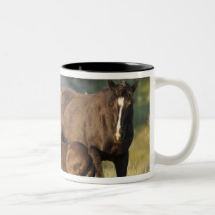 Caneca De Café Em Dois Tons Cavalos Selvagens no Parque Nacional Theodore Roos
