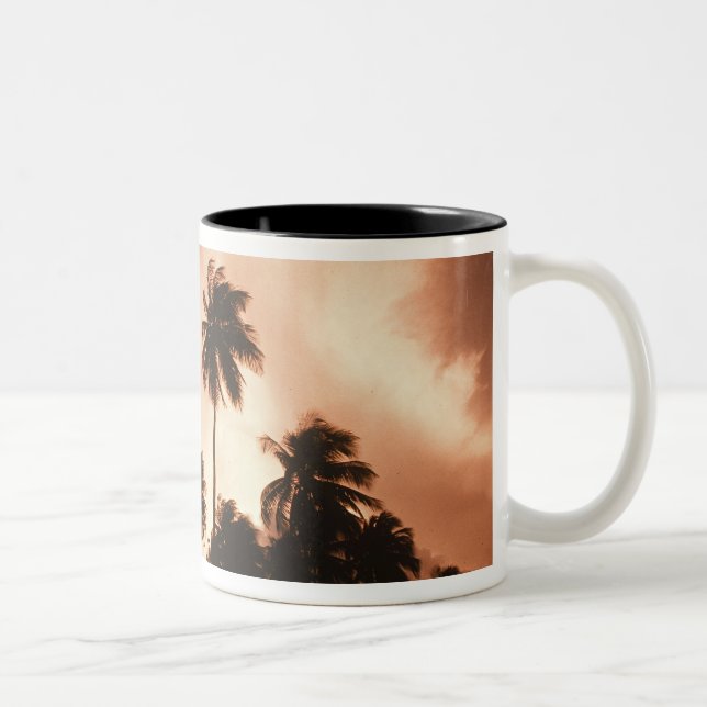 Caneca De Café Em Dois Tons Cayo Ambergris, Belize, América Central. 2 (Direita)