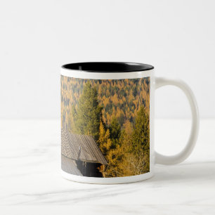 Caneca De Café Em Dois Tons Celeiro de madeira antigo com tamaracks de outono