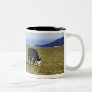 Caneca De Café Em Dois Tons Cena pastoral das vacas na negligência do campo