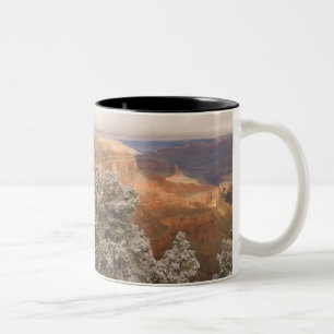 Caneca De Café Em Dois Tons Cenário de paisagem invernal nevada ao longo do su