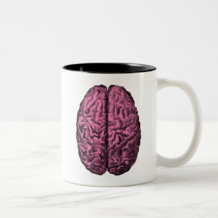 Caneca De Café Em Dois Tons Cérebro humano da anatomia