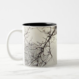 Caneca De Café Em Dois Tons Céu Branco E Sol Dramaticamente Enquadrados Por Ár