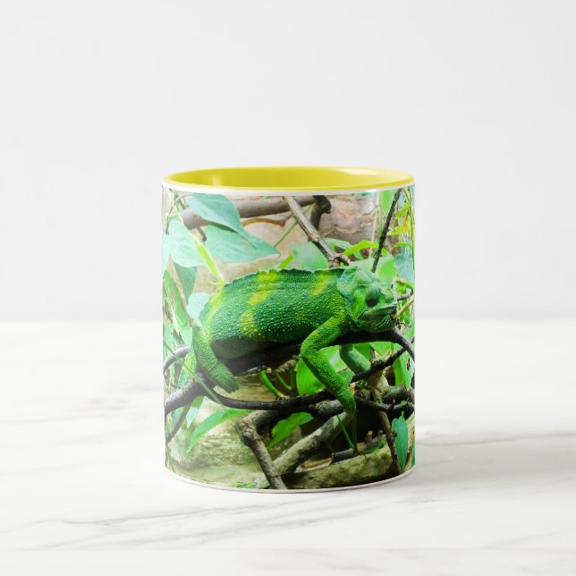 Caneca De Café Em Dois Tons Chameleon (Centro)
