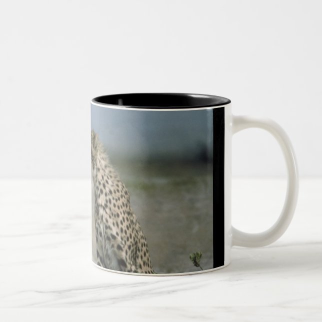 Caneca De Café Em Dois Tons Cheetah Mug (Direita)