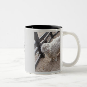 Caneca De Café Em Dois Tons Cheio das lãs