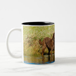 Caneca De Café Em Dois Tons Chesapeake Bay Retriever Caça Café Mug