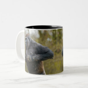 Caneca De Café Em Dois Tons Chest Beating Gorilla