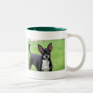Caneca De Café Em Dois Tons Chihuahua Isabella -13