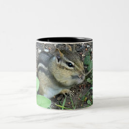 Caneca De Café Em Dois Tons Chipmunk Eating And Collecting In The Garden Photo