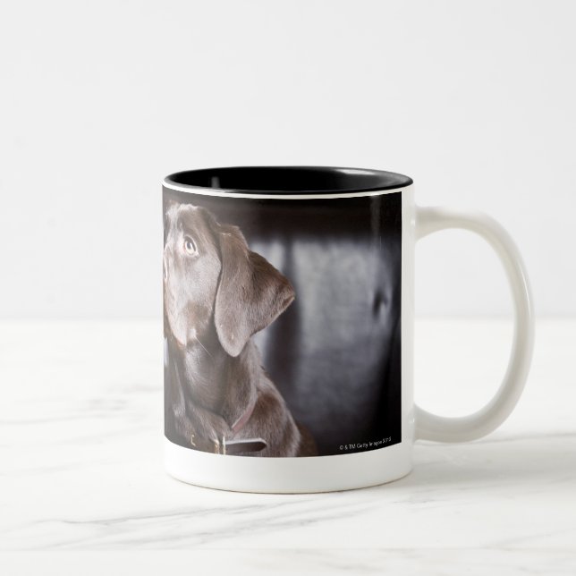 Caneca De Café Em Dois Tons Chocolate labrador retriever (Direita)