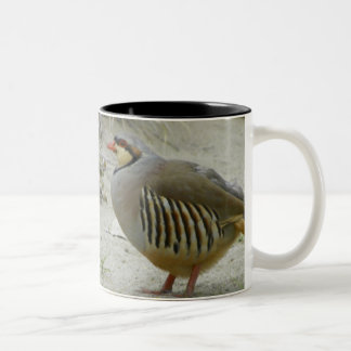 Caneca De Café Em Dois Tons chukar
