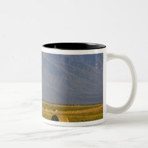 Caneca De Café Em Dois Tons Ciclistas de estrada correm pela estrada rural em
