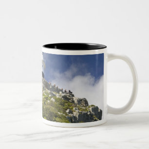Caneca De Café Em Dois Tons Cidade do Cabo, África do Sul. Um farol na