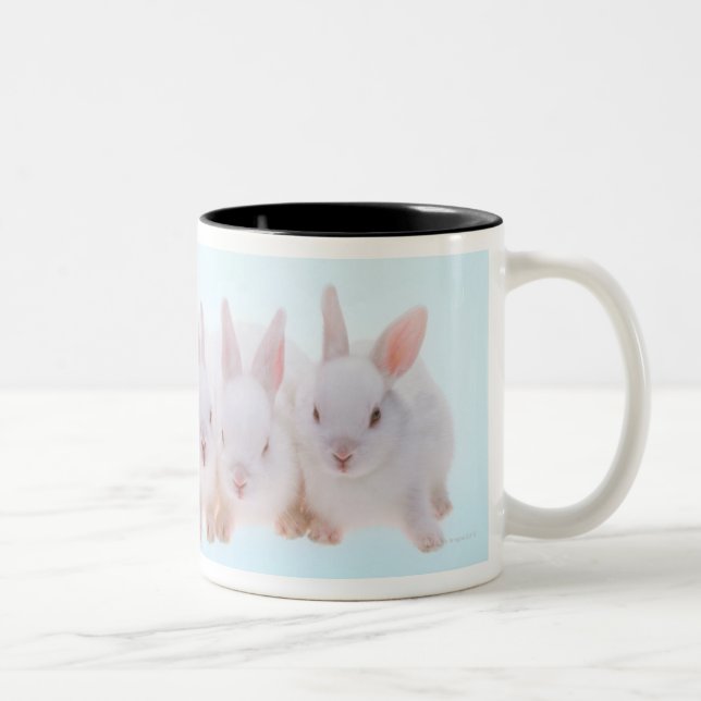 Caneca De Café Em Dois Tons Cinco coelhos (Direita)