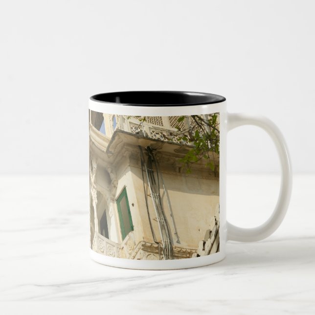 Caneca De Café Em Dois Tons City Palace, Udaipur, Rajasthan, Índia (Direita)