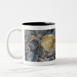 Caneca De Café Em Dois Tons Clams and Quahog Shell