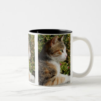 Caneca De Café Em Dois Tons Cleo Cat Mug