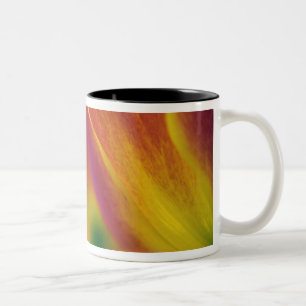 Caneca De Café Em Dois Tons Close-up da parte inferior da flor de tulipa, 4