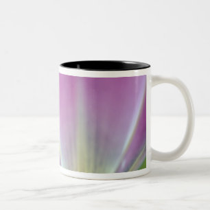 Caneca De Café Em Dois Tons Close-up da parte inferior da flor de tulipa, Kuek