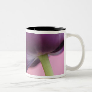 Caneca De Café Em Dois Tons Close-up da parte inferior da flor de tulipa, Kuek