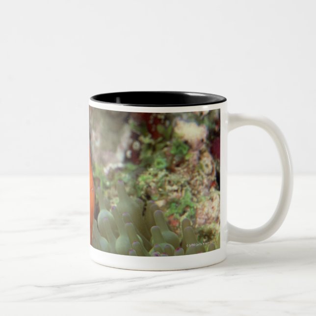 Caneca De Café Em Dois Tons Clownfish 2 (Direita)