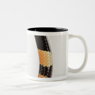 Caneca De Café Em Dois Tons Cobra coral africano (lubricus do Aspidelaps)