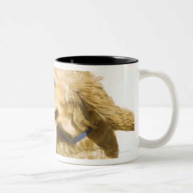 Caneca De Café Em Dois Tons Cocker spaniel (Direita)