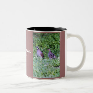 Caneca De Café Em Dois Tons Codornizes do norte