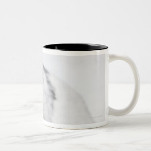 Caneca De Café Em Dois Tons Coelho branco, preto e marrom