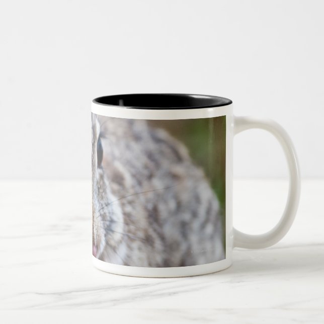 Caneca De Café Em Dois Tons Coelho de coelho de Texas (Direita)