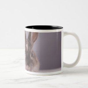 Caneca De Café Em Dois Tons coelho, fundo simples, animal, mesa branca,