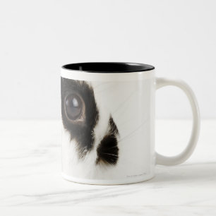 Caneca De Café Em Dois Tons Coelho lanoso do jérsei