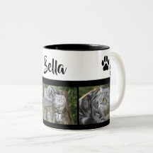 Colagem de Fotos de Gato Personalizada com Impress