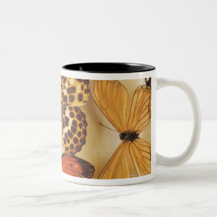 Caneca De Café Em Dois Tons Coleção da borboleta