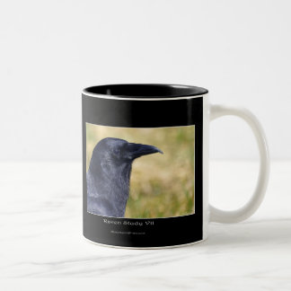 Caneca De Café Em Dois Tons Coleção de Estudo RAVEN