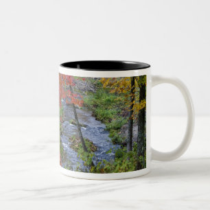 Caneca De Café Em Dois Tons Coles Creek alinhada com árvores de bordo de outon