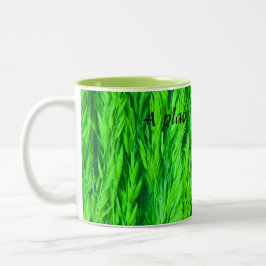Caneca De Café Em Dois Tons Colheita do Nome da Fotografia de Sementes de Gram