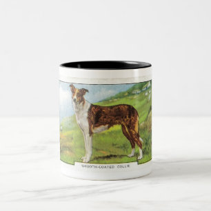 Caneca De Café Em Dois Tons Collie Liso-Revestido