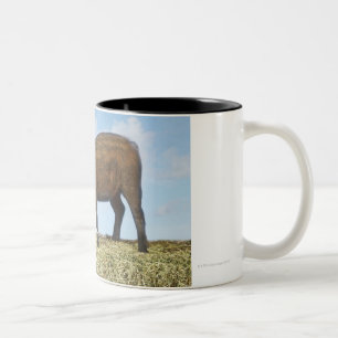 Caneca De Café Em Dois Tons Comer do leitão