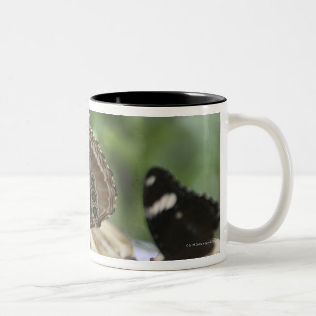 Caneca De Café Em Dois Tons Comida para borboletas (Direita)