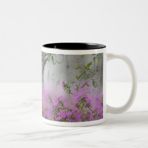 Caneca De Café Em Dois Tons Composição Digital de Azaléias e árvore de magnóli