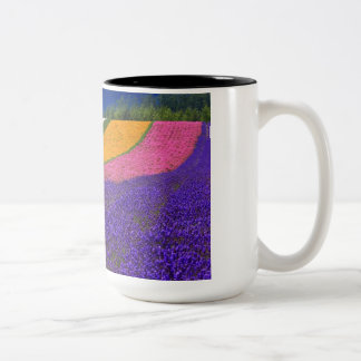 Caneca De Café Em Dois Tons copo cor