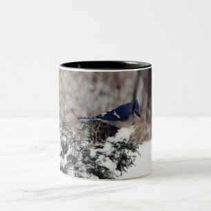 Caneca De Café Em Dois Tons copo de café da neve de jay azul