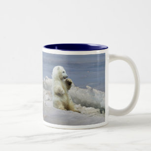 Caneca De Café Em Dois Tons Copo de Café Urso Polar Fofo e Gelo Ártico