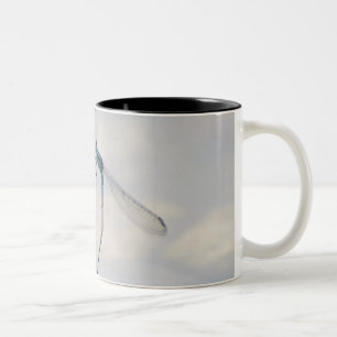 Caneca De Café Em Dois Tons Cópula dos Damselflies