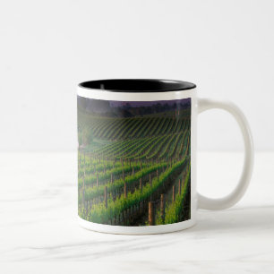 Caneca De Café Em Dois Tons Cor do nascer do sol na névoa distante atrás