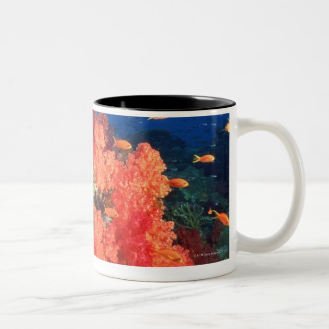 Caneca De Café Em Dois Tons Coral e peixes (Direita)