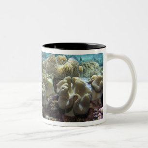 Caneca De Café Em Dois Tons Coral, Recife Agincourt, Grande Barreira de Coral,